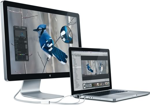 Apple LED Cinema Display de 24”