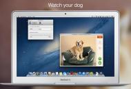 Dog Monitor te ayuda a controlar a tu mascota cuando no estás en tu hogar